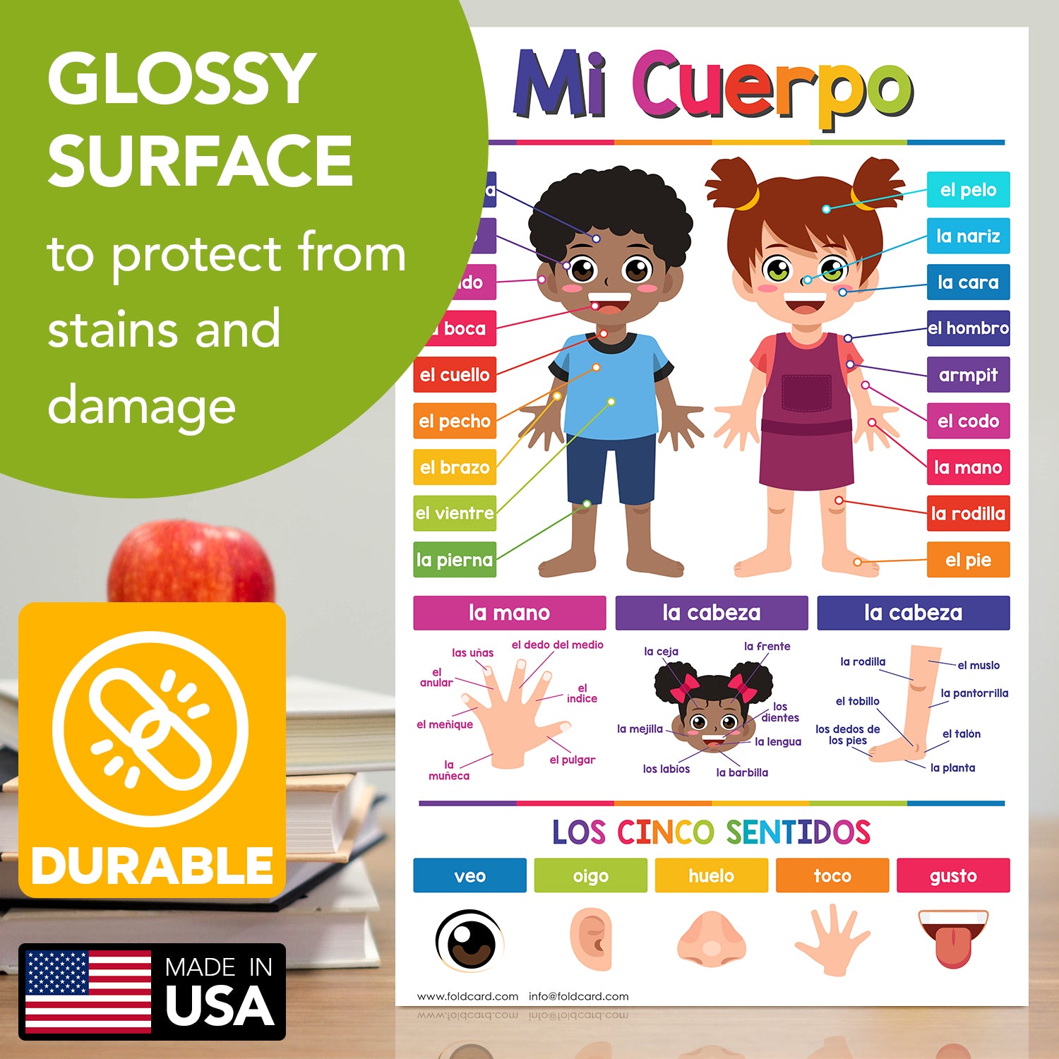 Spanish Opposites Chart for Kids - Fun Learning Poster | Preschool to Grade 1 | 11" x 17" 5-Pack