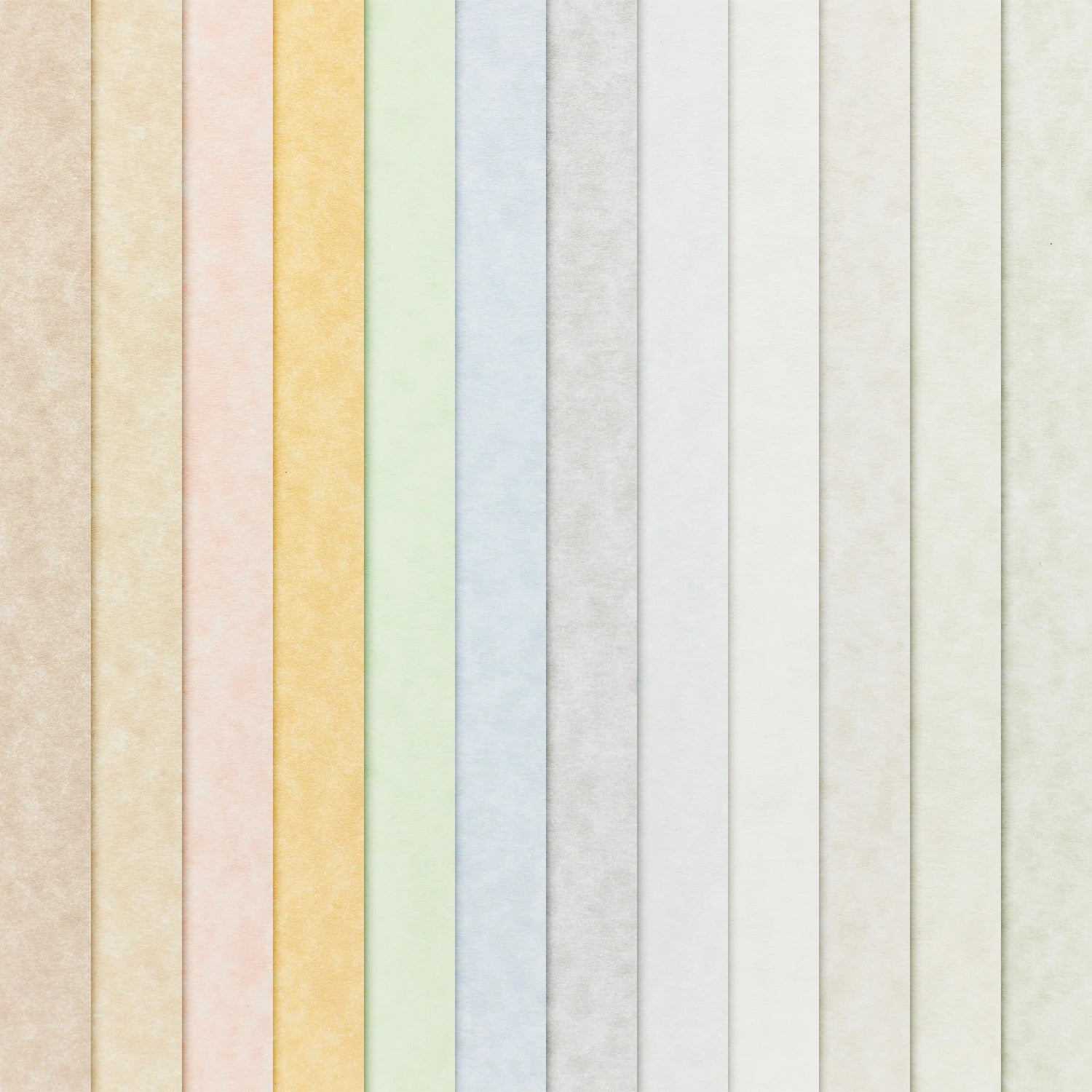 8,5 x 11 Papel pergamino Cubierta de 65 lb 176 g/m² 50 hojas