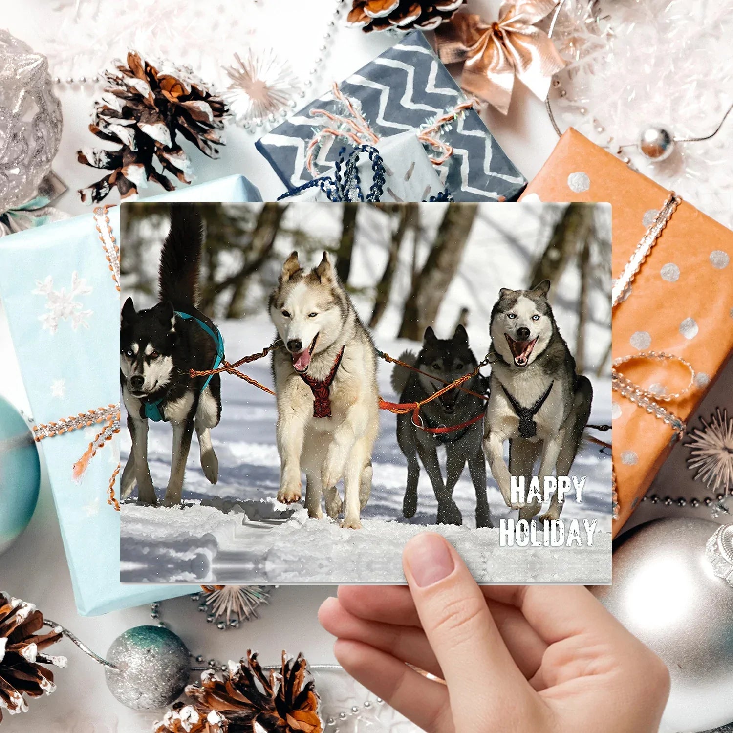 Happy Holiday Dogs and Snow Cards & Envelopes - 25 Cards & 25 Envelopes per Pack (HAPPY HOLIDAY DOGS) FoldCard