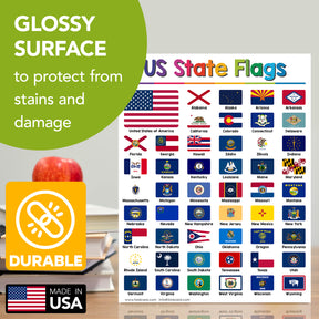 USA State Flags Chart for Preschool to Gradeschool Kids - Educational Learning Aid | 8.5" x 11" | 5 Pack