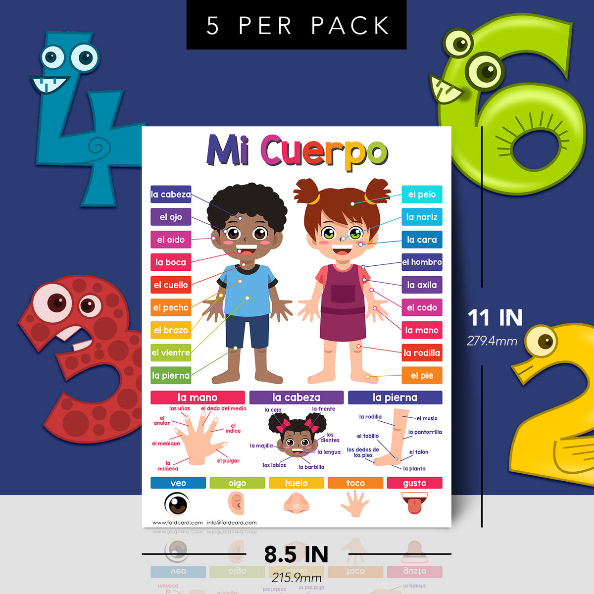 My Body Spanish Chart for Kids | Bright and Colorful Educational Poster | 8.5" x 11" | 5 Pack