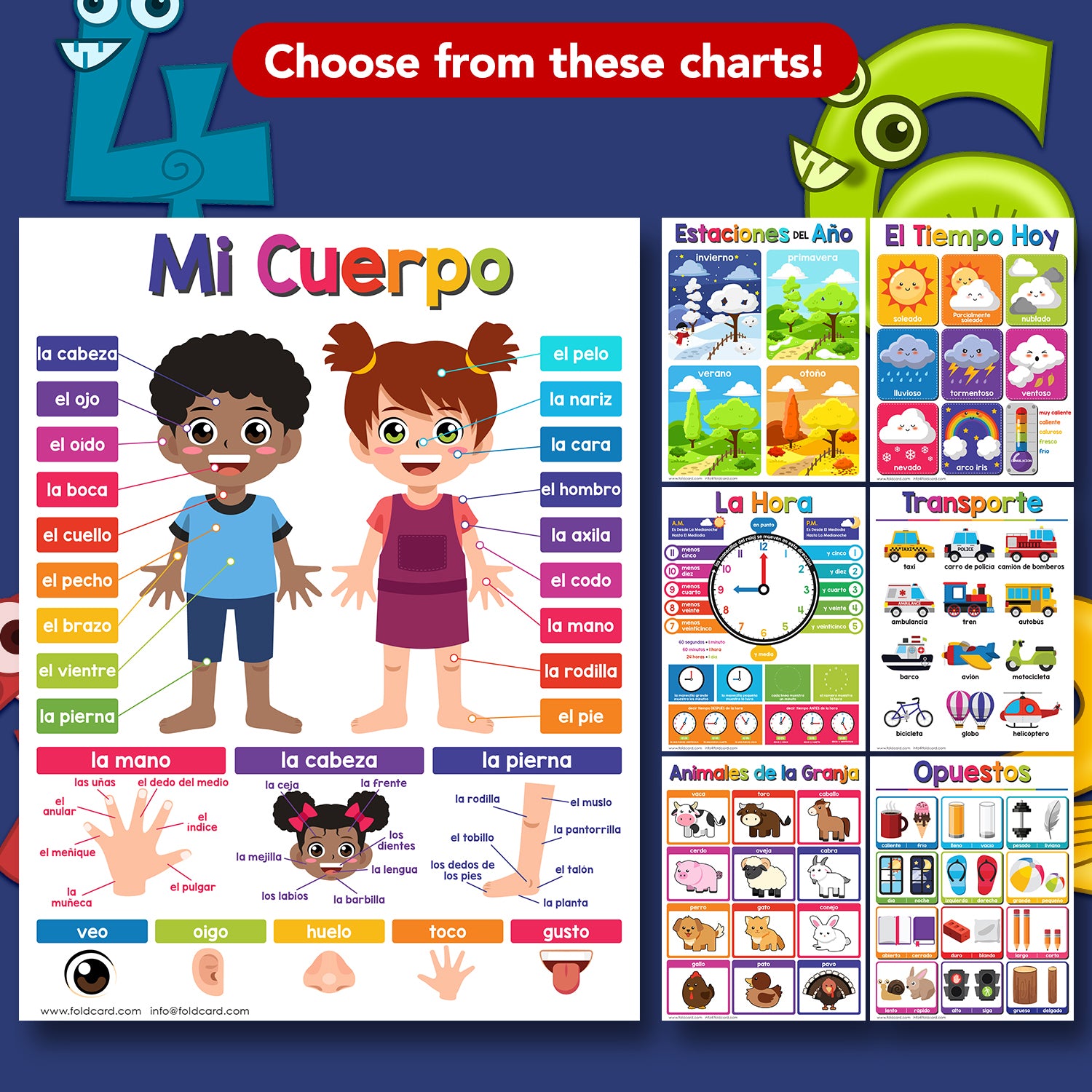Spanish Bilingual Educational Poster for Preschool-Gradeschool | 8.5 x 11 | 5 Pack