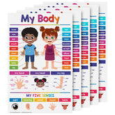 My Body Chart for Kids | Bright and Colorful Educational Poster | 11" x 17" | 5 Pack