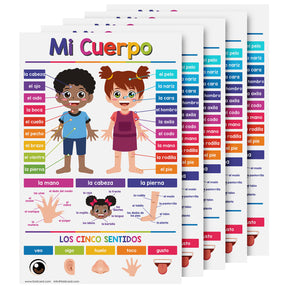 My Body Spanish Chart for Kids | Bright and Colorful Educational Poster | 11" x 17" | 5 Pack