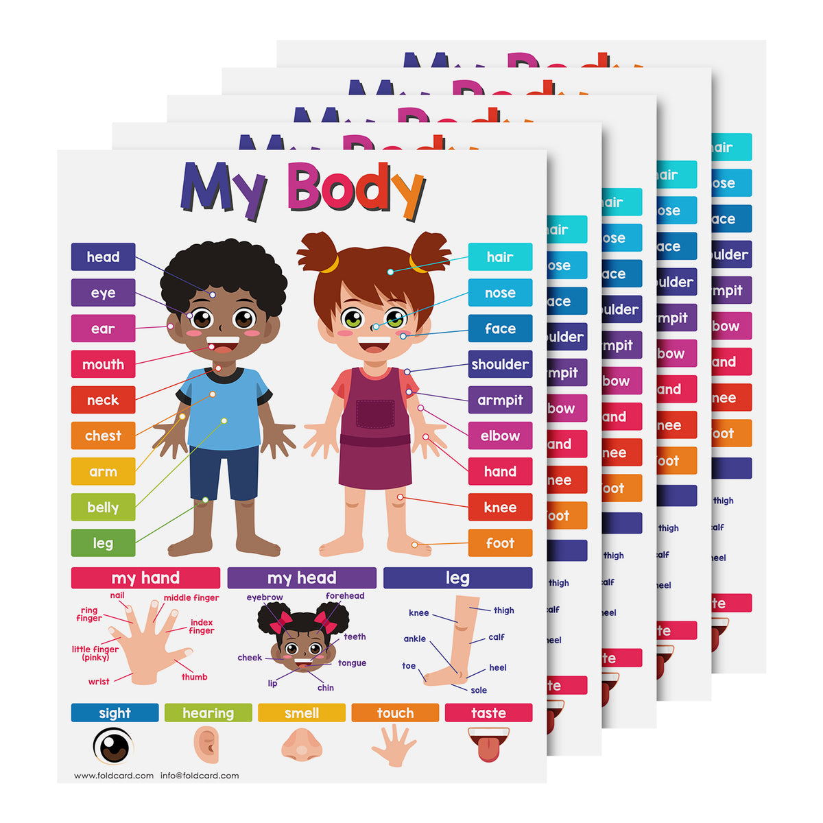 My Body Chart for Kids | Bright and Colorful Educational Poster | 8.5" x 11" | 5 Pack