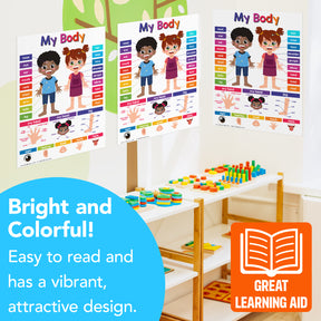 My Body Chart for Kids | Bright and Colorful Educational Poster | 8.5" x 11" | 5 Pack