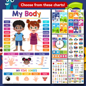 My Body Chart for Kids | Bright and Colorful Educational Poster | 11" x 17" | 5 Pack