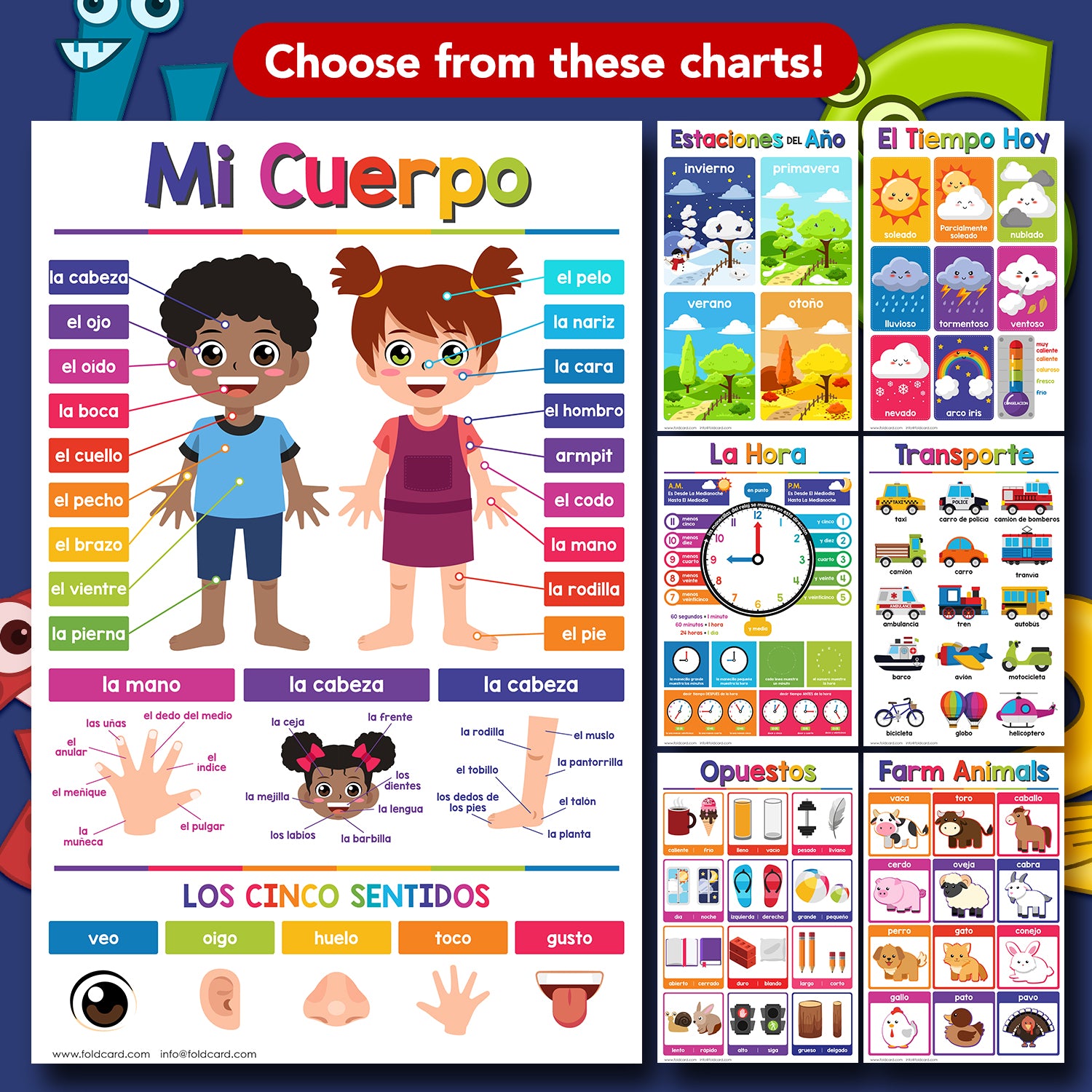 Spanish Seasons Chart for Kids | Bright and Colorful Educational Poster | 11" x 17" | 5 Pack