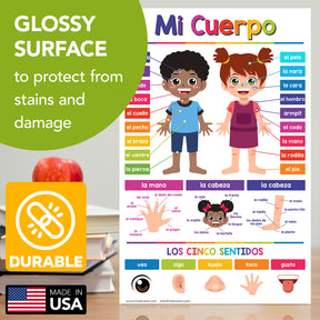Spanish Opposites Chart for Kids - Fun Learning Poster | Preschool to Grade 1 | 11" x 17" 5-Pack