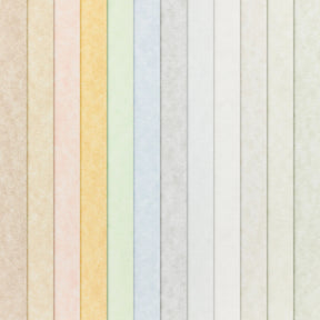 8.5 x 11 Parchment Paper 65lb Cover 176 gsm 50 Sheets