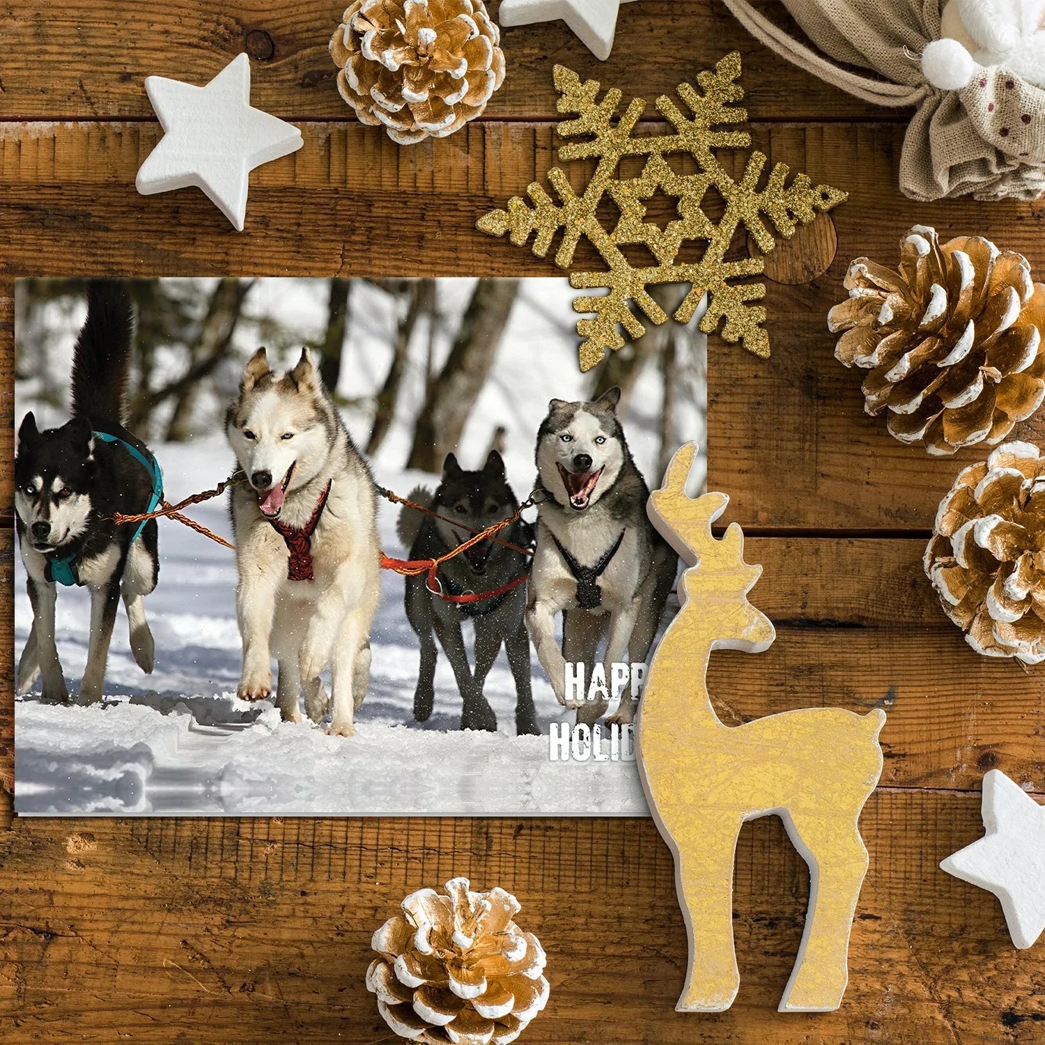 Happy Holiday Dogs and Snow Cards & Envelopes - 25 Cards & 25 Envelopes per Pack (HAPPY HOLIDAY DOGS) FoldCard