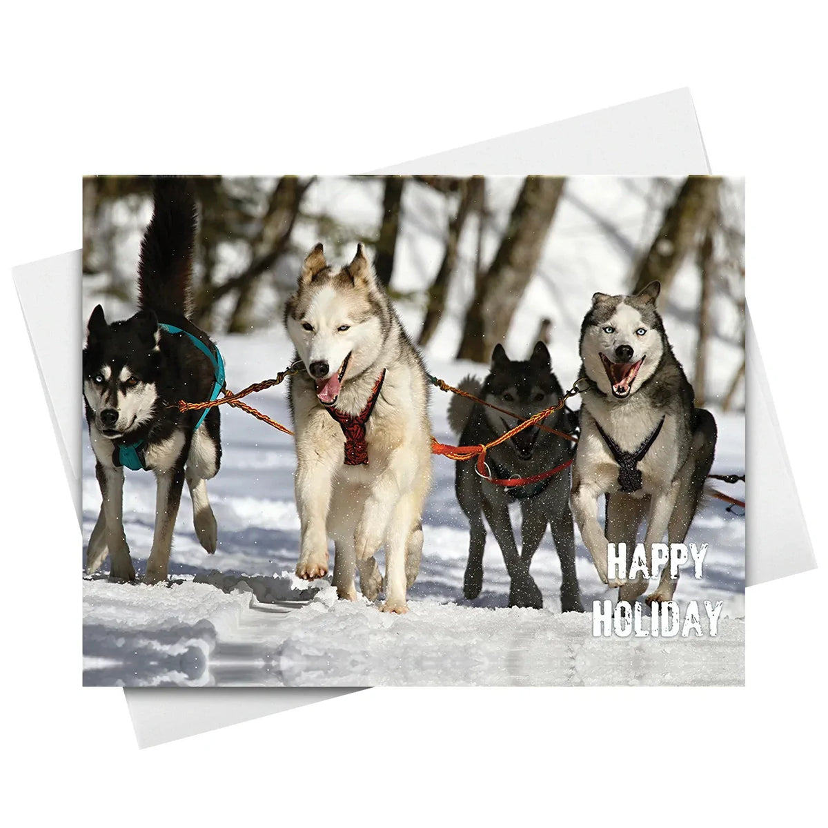 Happy Holiday Dogs and Snow Cards & Envelopes - 25 Cards & 25 Envelopes per Pack (HAPPY HOLIDAY DOGS) FoldCard