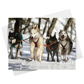 Happy Holiday Dogs and Snow Cards & Envelopes - 25 Cards & 25 Envelopes per Pack (HAPPY HOLIDAY DOGS) FoldCard