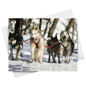 Happy Holiday Dogs and Snow Cards & Envelopes - 25 Cards & 25 Envelopes per Pack (HAPPY HOLIDAY DOGS) FoldCard