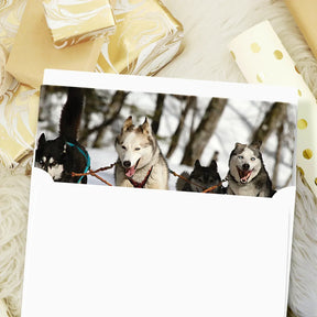 Happy Holiday Dogs and Snow Cards & Envelopes - 25 Cards & 25 Envelopes per Pack (HAPPY HOLIDAY DOGS) FoldCard